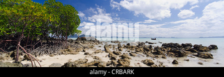 Mangroves on a sandy beach, Koh Kradan island, Trang province, Thailand, Southeast Asia, Asia Stock Photo