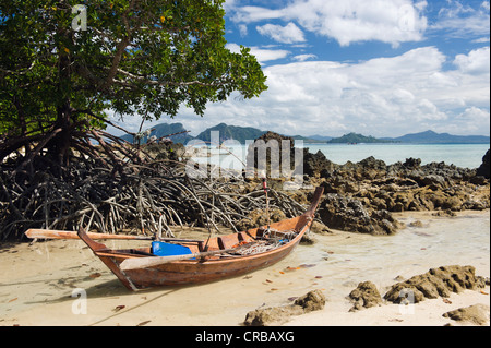Mangroves on a beach, Koh Kradan island, Trang province, Thailand, Southeast Asia, Asia Stock Photo