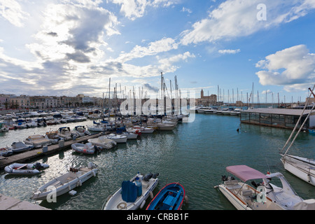 View over the harbour of Trani, Apulia, Southern Italy, Italy, Europe Stock Photo