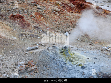 Steamboat Geyser, currently the largest active geyser in the world, Back Basin, Norris Geyser Basin, geysers Stock Photo