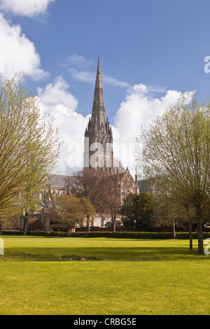 The magnificent Salisbury cathedral in Wiltshire. Stock Photo
