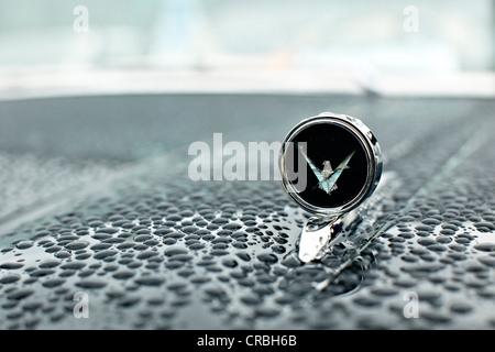 Ford Galaxie Skyliner convertible 1959, hood ornament, vintage car, USA Stock Photo