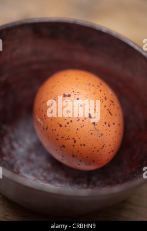 Close up of brown egg in bowl Stock Photo