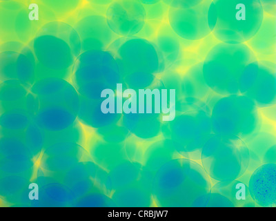 abstract blue circles on yellow background Stock Photo