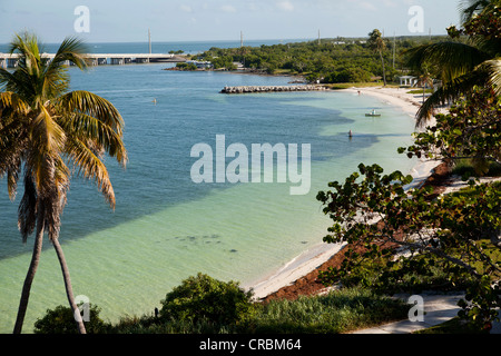 Sandy beach, Calusa Beach in Bahia Honda State Park, Florida Keys, Florida, USA Stock Photo