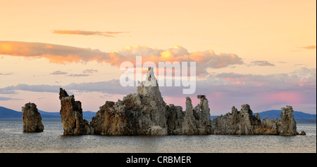 Parachute Tufa, osprey (Pandion haliaetus) on nest at dusk, sunset, tufa rocks, tufa, tufa formaitons, South Tufa Area Stock Photo