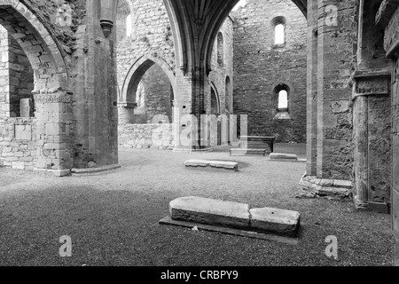 Monastery ruins, Jerpoint Abbey, County Kilkenny, Ireland, British Isles, Europe Stock Photo