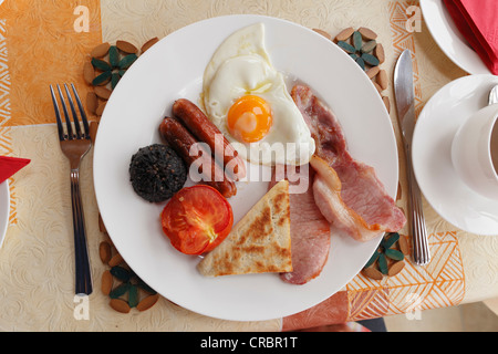 Full Irish breakfast, Dunfanaghy, County Donegal, Ireland, Europe Stock Photo