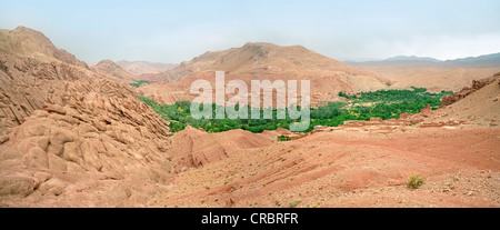 Aerial view of green oasis in desert Stock Photo