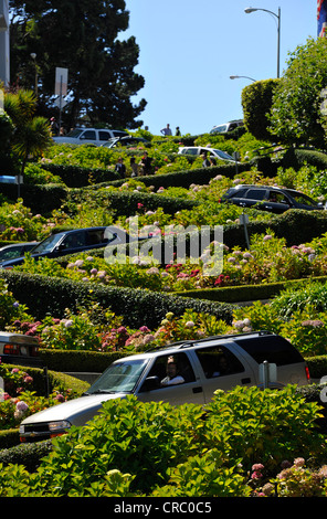 Cars and tourists on Lombard Street, San Francisco, California, United States of America, USA, PublicGround Stock Photo