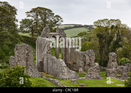 Ruins of Inch Abbey, Downpatrick, County Down, Northern Ireland, Ireland, United Kingdom, Europe, PublicGround Stock Photo