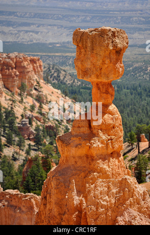 Rock formations and hoodoos, Thor's Hammer, Sunset Point, Bryce Canyon National Park, Utah, United States of America, USA Stock Photo