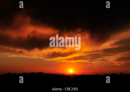 A sunset colors the sky on the first day of monsoon season in the Sonoran Desert, Tucson, Arizona, USA. Stock Photo