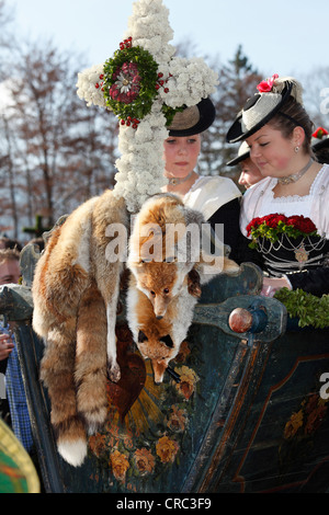 Women wearing traditional costume, fox furs, Leonhardi procession, Bad Toelz, Isarwinkel, Upper Bavaria, Bavaria Stock Photo