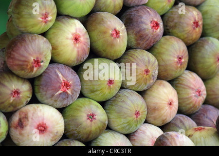 Common Fig (Ficus carica) fruit Stock Photo
