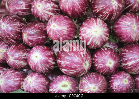 Brinjal (Solanum melongena - also known as egg plant) for sale in market at Pune, India Stock Photo