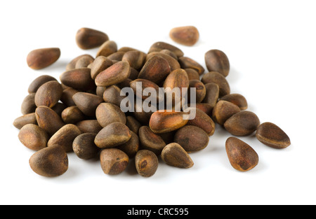 Pile of cedar nuts isolated on white Stock Photo