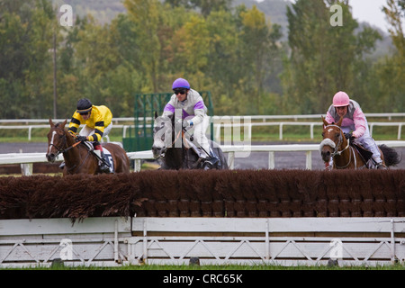 The leaders jump a hurdle approaching the end of a race at the Baron hippodrome at Castera-Verduzan in SW France Stock Photo