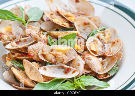 clams, seafood, used to make food such as soup or fried. Stock Photo