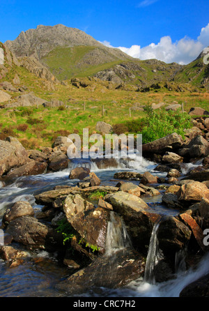 The craggy peak of Tryfan in the Ogwen valley, Snowdonia National Park, North Wales, Europe Stock Photo