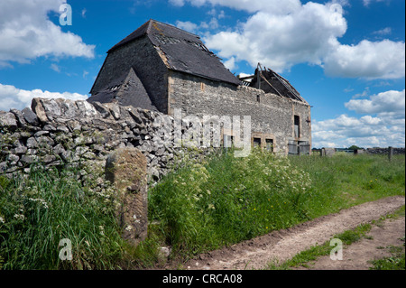 Derelict field barn near Hartington in the Peak District National Park, Derbyshire, UK Stock Photo