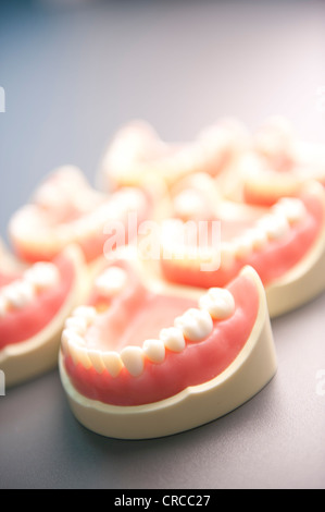 teeth tooth dental fake models Stock Photo: 48830717 - Alamy