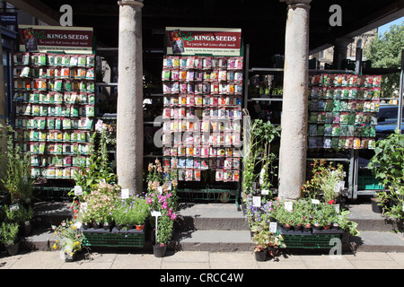 Plants and flower and vegetable KIng's seeds for sale in the Market Place Hexham Northumberland England UK Stock Photo