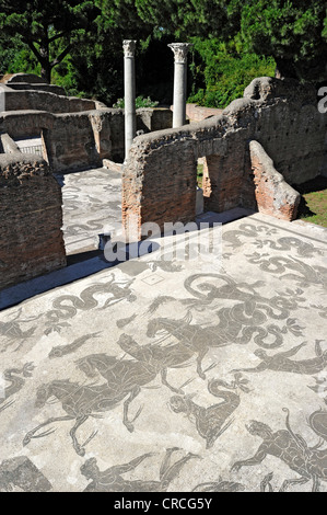 Mosaics in the ruins of the Terme di Nettuno, Baths of Neptune, Ostia Antica archaeological site, ancient port city of Rome Stock Photo