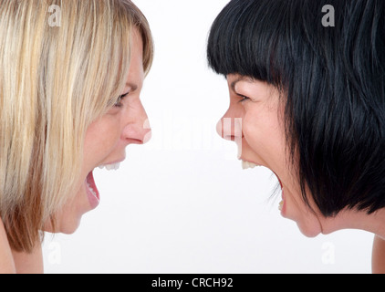 Portrait of screaming in rage ancient Spartan warrior in battle dress  against sky background Stock Photo - Alamy