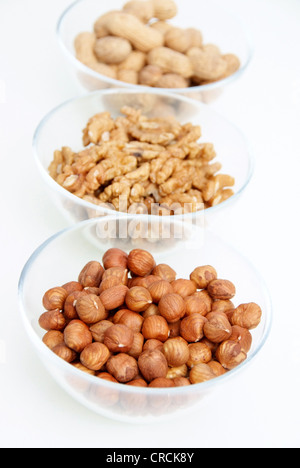 haselnuts, walnuts and peanuts