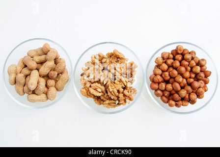 haselnuts, walnuts and peanuts