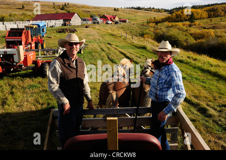 Two cowboys on a horse cart, Saskatchewan, Canada, North America Stock Photo