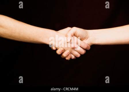 handshake Stock Photo