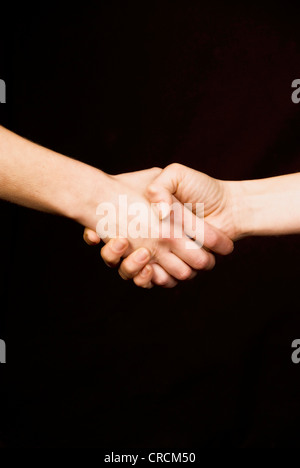 handshake Stock Photo