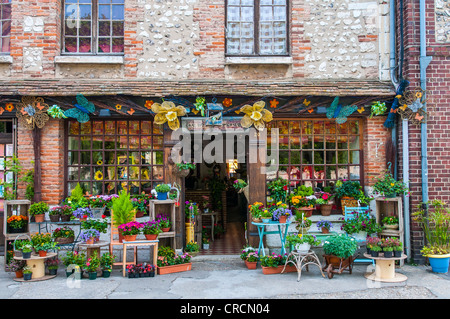 florist, Petit Andely, Les Andelys, Normandy, France Stock Photo