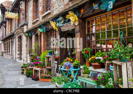 florist, Petit Andely, Les Andelys, Normandy, France Stock Photo