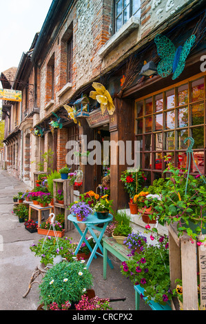 florist, Petit Andely, Les Andelys, Normandy, France Stock Photo