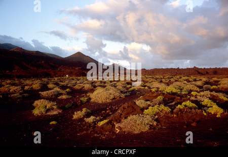vulcanic landscape in evening light, Canary, La Palma, Santa Cruz De Tenerife, Fuencaliente Stock Photo