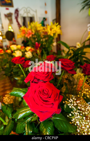 florist, Petit Andely, Les Andelys, Normandy, France Stock Photo