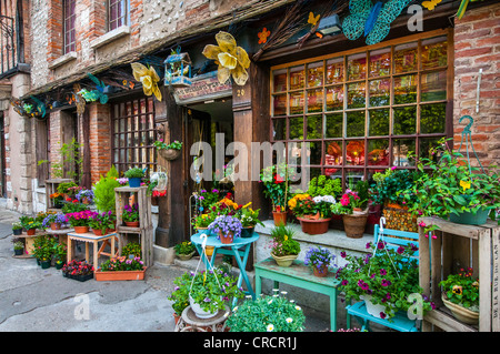 florist, Petit Andely, Les Andelys, Normandy, France Stock Photo