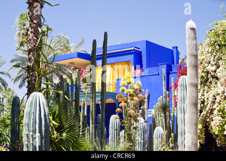 The Marjorelle Gardens in Marrakech, Morocco, North Africa Stock Photo