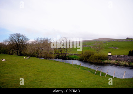 River Ribble running through Horton in Ribblesdale in the Yorkshire Dales National Park, England. Stock Photo