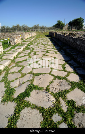 Italy, Basilicata, Venosa, archeological park, roman road Stock Photo