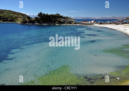 Beach on the Isla del Sol, Island of the Sun, in Lake Titicaca, Copacabana, Bolivia, South America Stock Photo