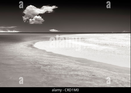 Shoreline of Fort George Cay, an uninhabited island. Turks and Caicos. Stock Photo