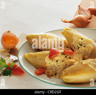 Chicory in Dahnesauce braised in white wine with vegetables, Belgium. Stock Photo