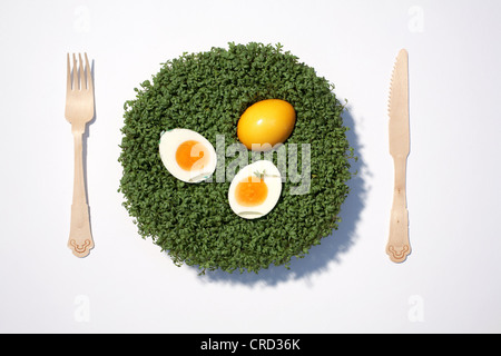 Easter egg and boiled egg on cress Stock Photo