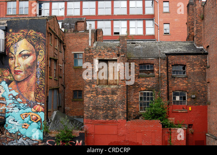 Street art on the side of a building with decaying semi-derelict buildings contrasting with a modern building behind. Stock Photo