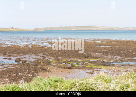 Near Harrabrough, South Ronaldsay, Orkney Isles  Scotland Stock Photo