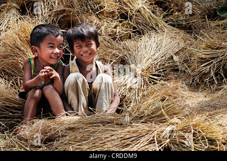 Two laughing children sitting on rice straw, Cambodia, Southeast Asia, Asia Stock Photo
